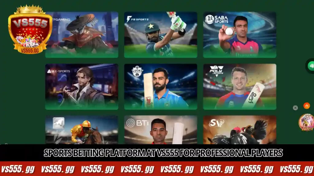 Sports Betting platform at VS555 for professional players